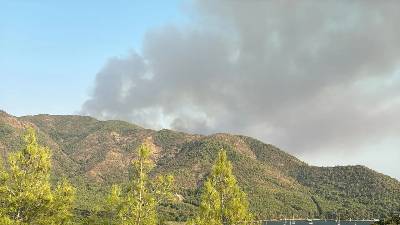 Marmaris'te Orman Yangını! Alevlere Havadan ve Karadan Müdahale Sürüyor